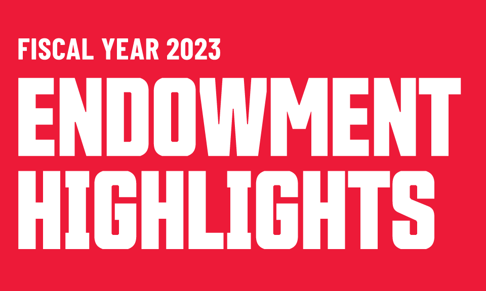 Endowment Highlights
